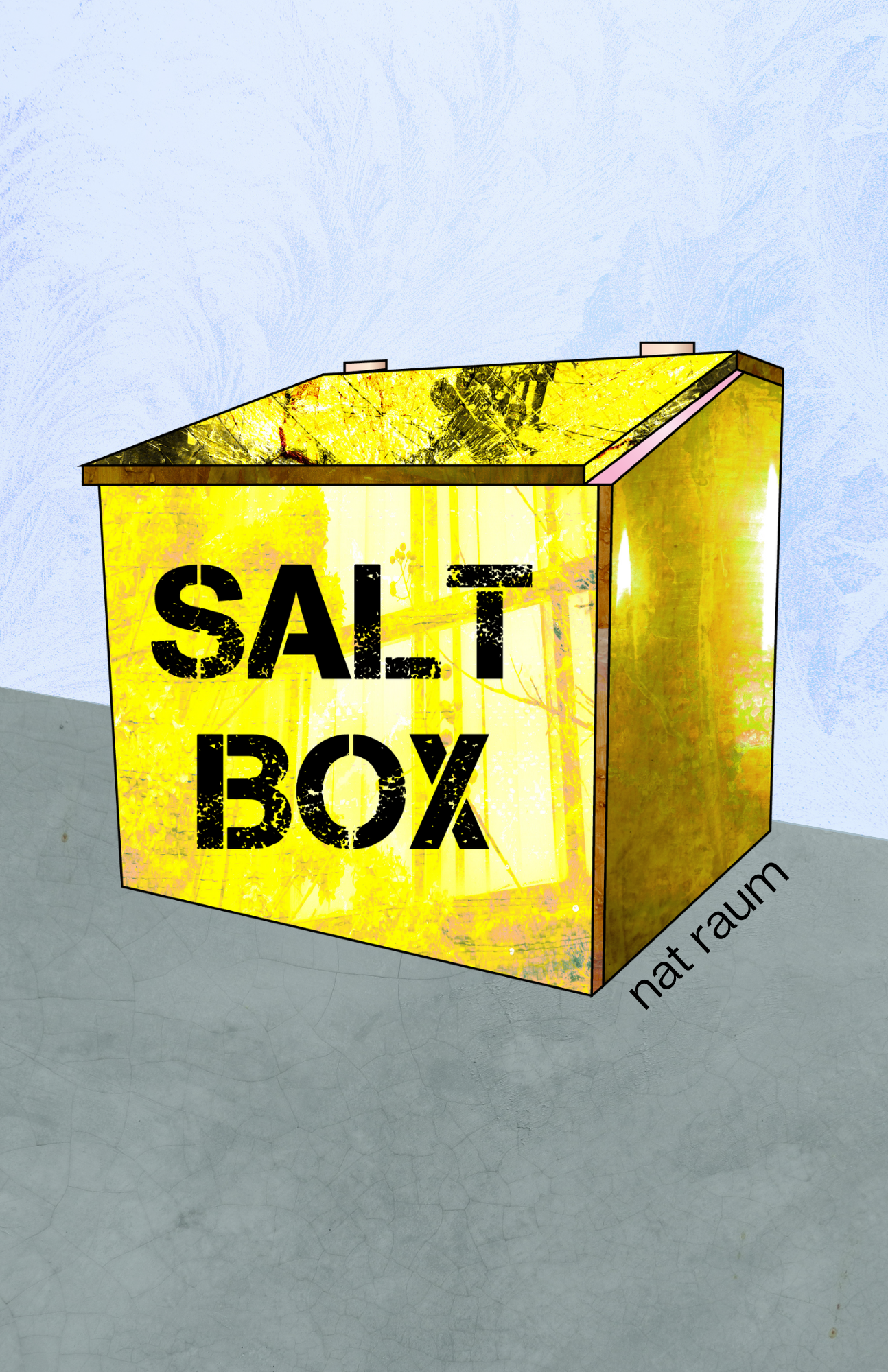 salt box by nat raum (cover art)