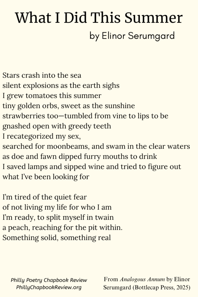 "What I Did This Summer" by Elinor Serumgard