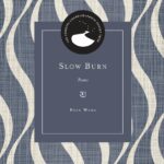 Slow Burn by Evan Wang (cover art)