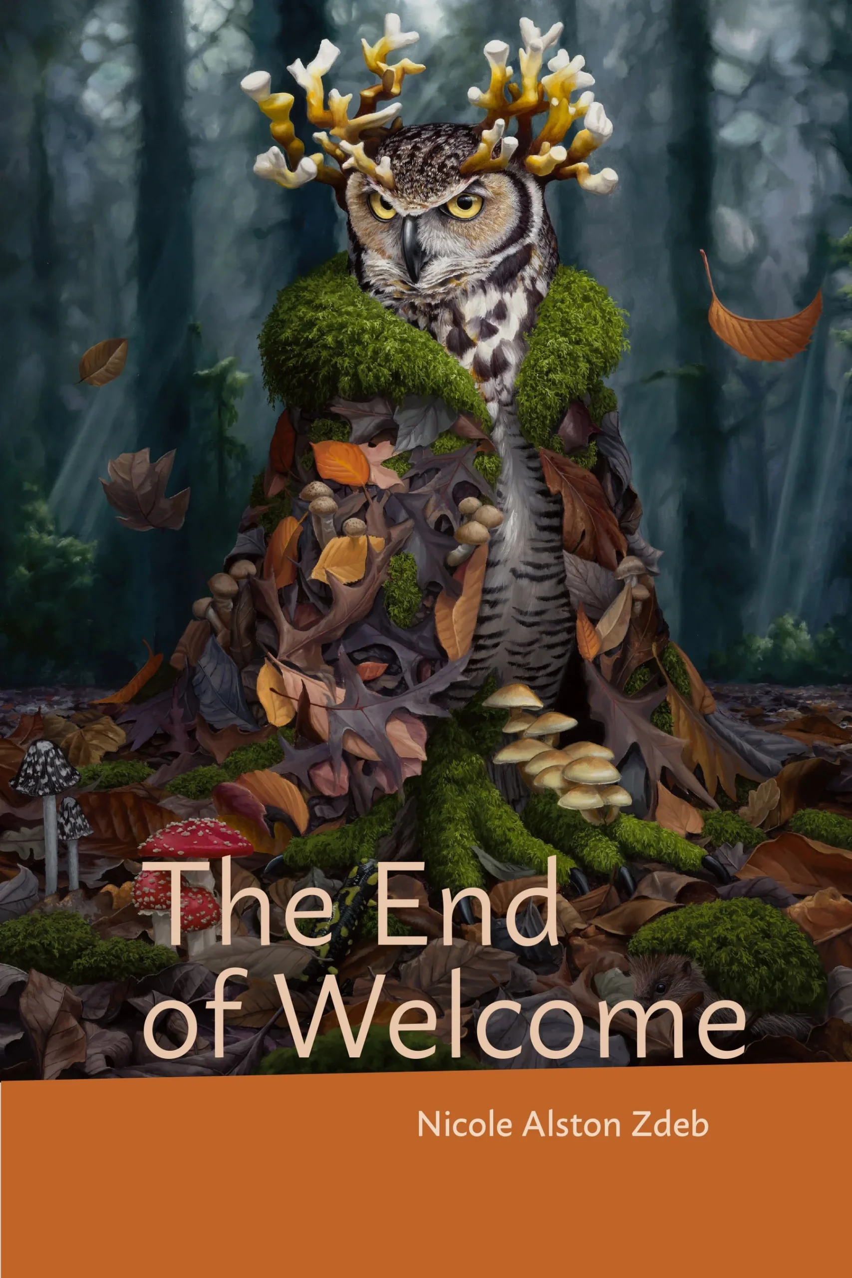 The End of Welcome by Nicole Alston Zdeb (cover art)