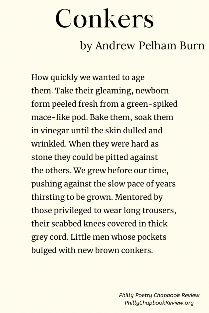 "Conkers" by Andrew Pelham Burn