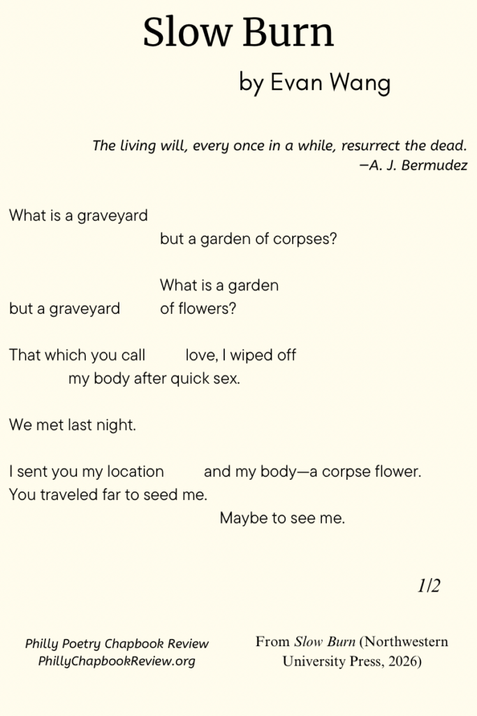 "Slow Burn" by Evan Wang - 1