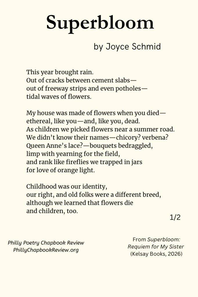 "Superbloom" by Joyce Schmid - 1