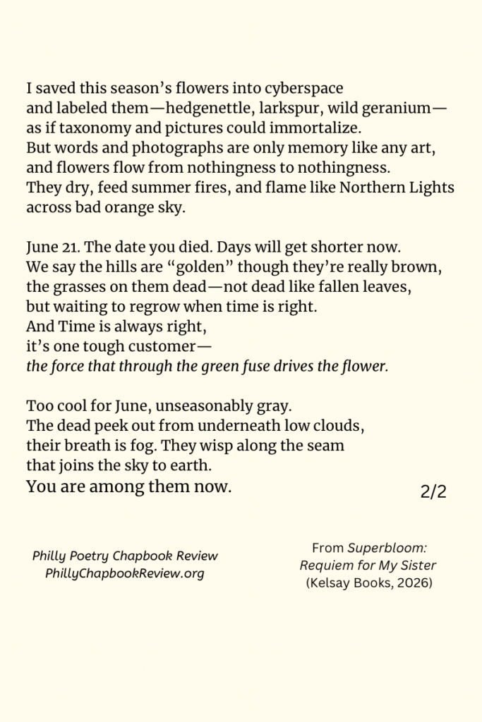 "Superbloom" by Joyce Schmid - 2