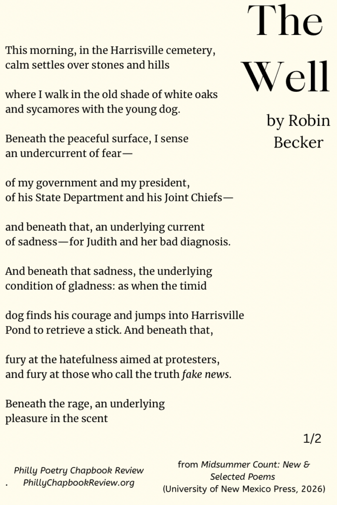 "The Well" by Robin Becker - 1