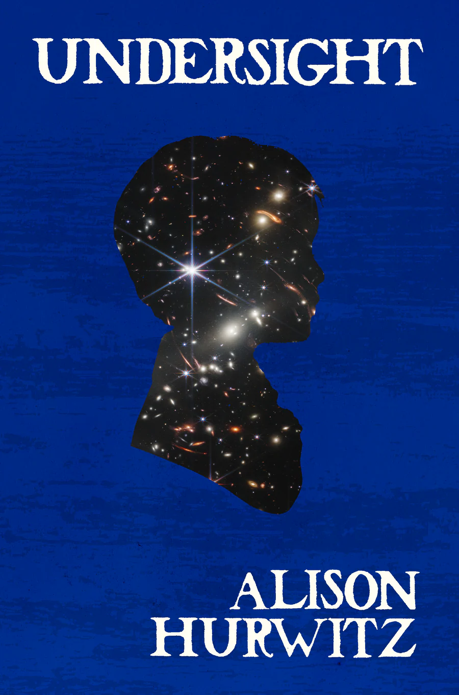 Undersight by Alison Hurwitz (cover art)